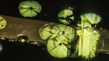 birthstone-august-peridot-lily-pad-inclusion
