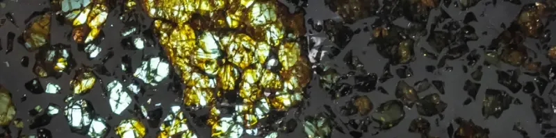 Raw pallasite meteorite